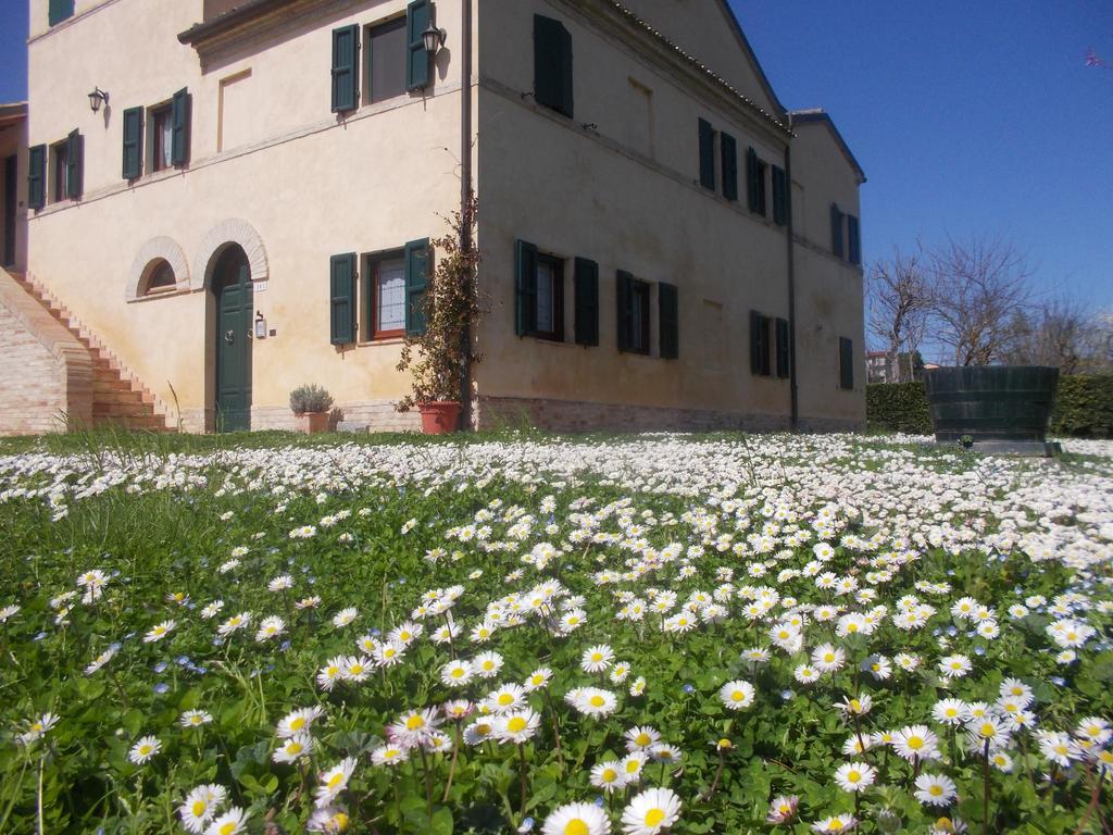 I Ciliegi Bed & Breakfast Osimo Exterior photo