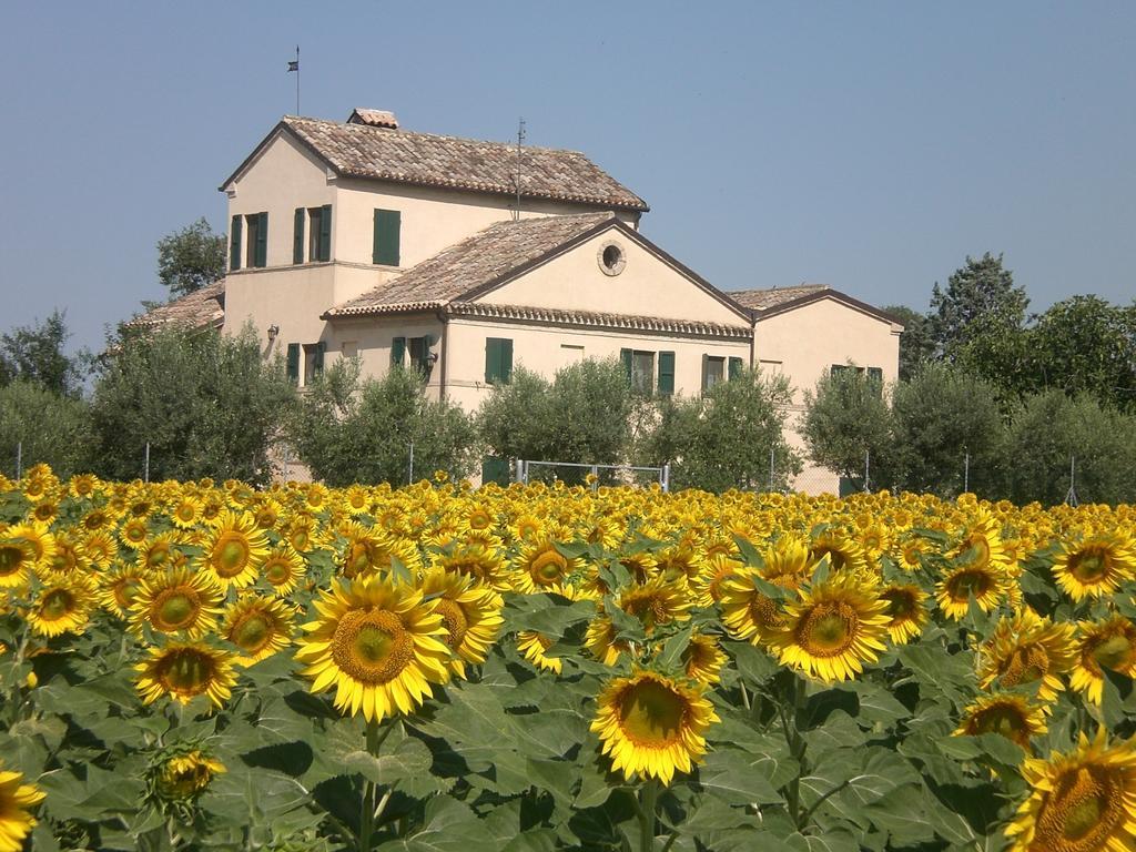 I Ciliegi Bed & Breakfast Osimo Exterior photo