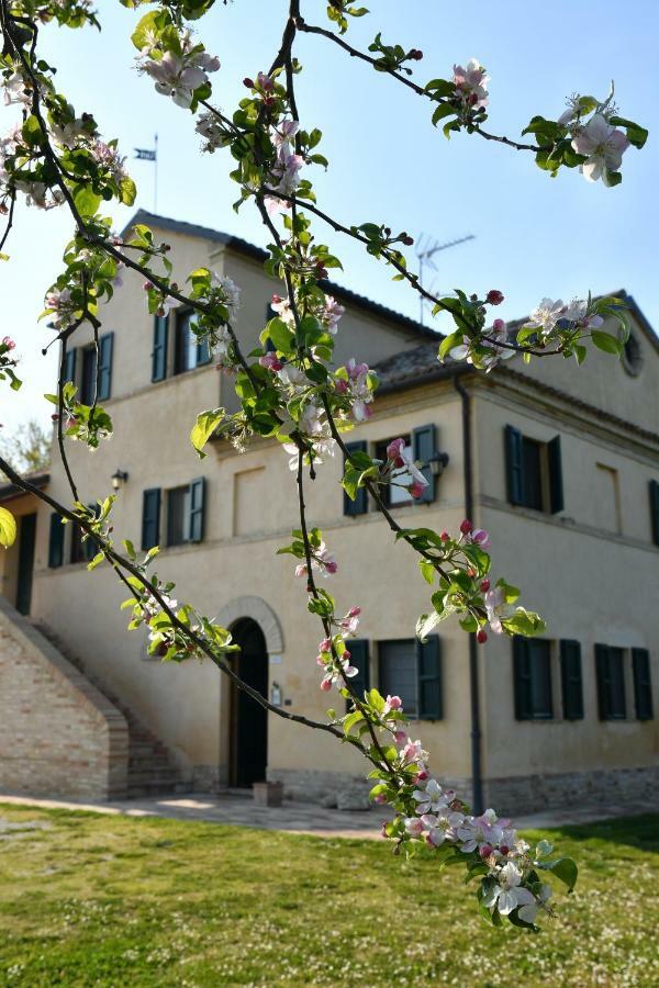 I Ciliegi Bed & Breakfast Osimo Exterior photo